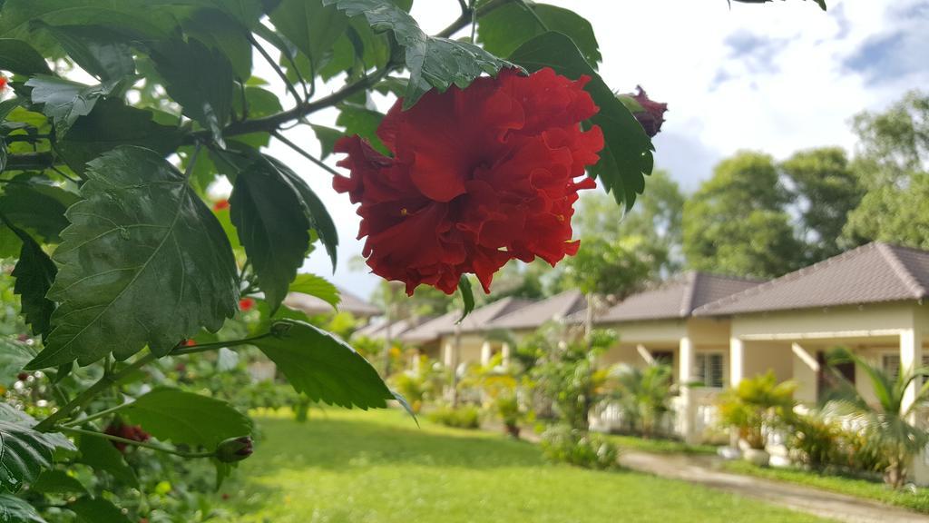 西哈努克 The Moonflower Bungalow酒店 外观 照片